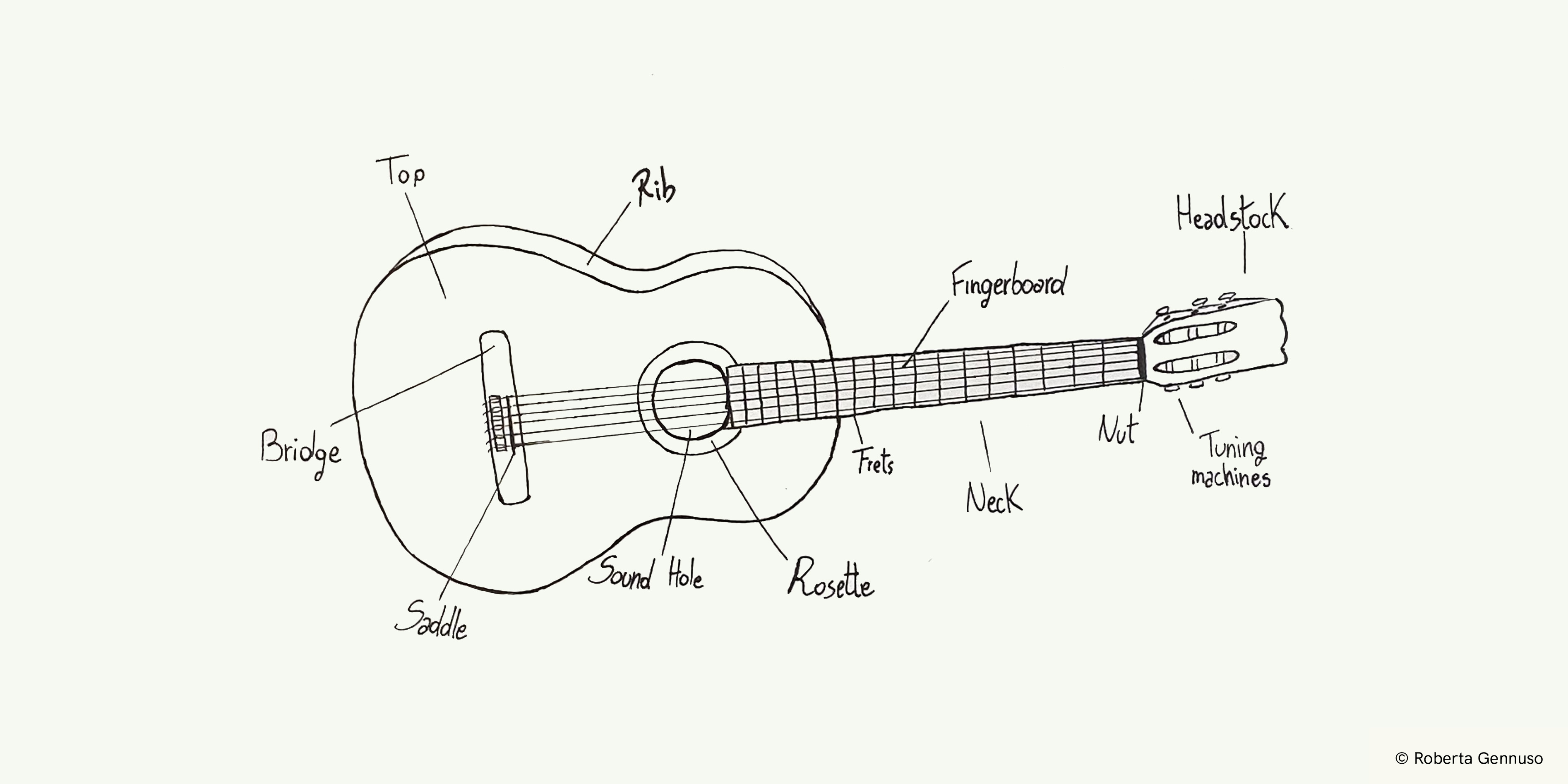Illustration of the parts of the classical guitar