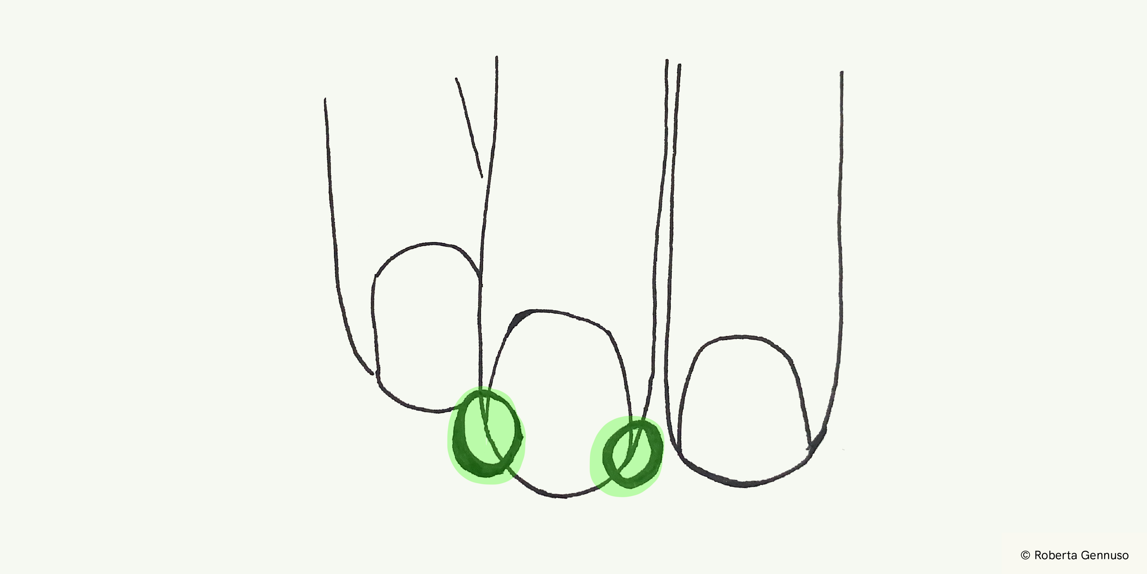 Illustration of the shapes of the neils to play classical guitar